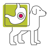 Dog and stomach icon