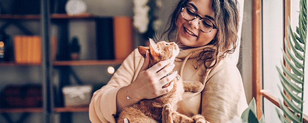 Woman rubbing cat