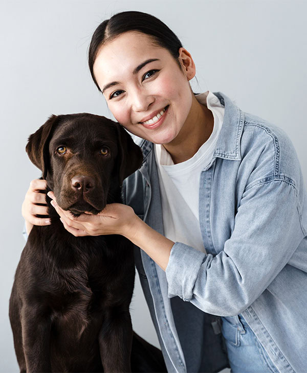 Essential Plain-Labrador