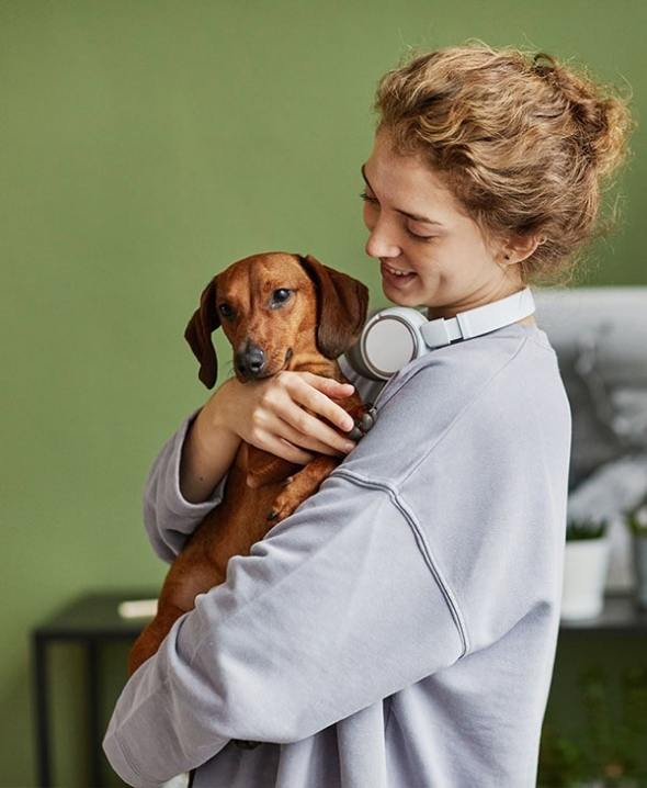 daschund pet insurance ultimate plan with medipet