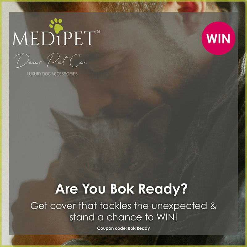 Bok-ready-campaign-pop-up