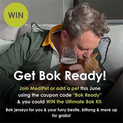 bok-ready-campaign-competition