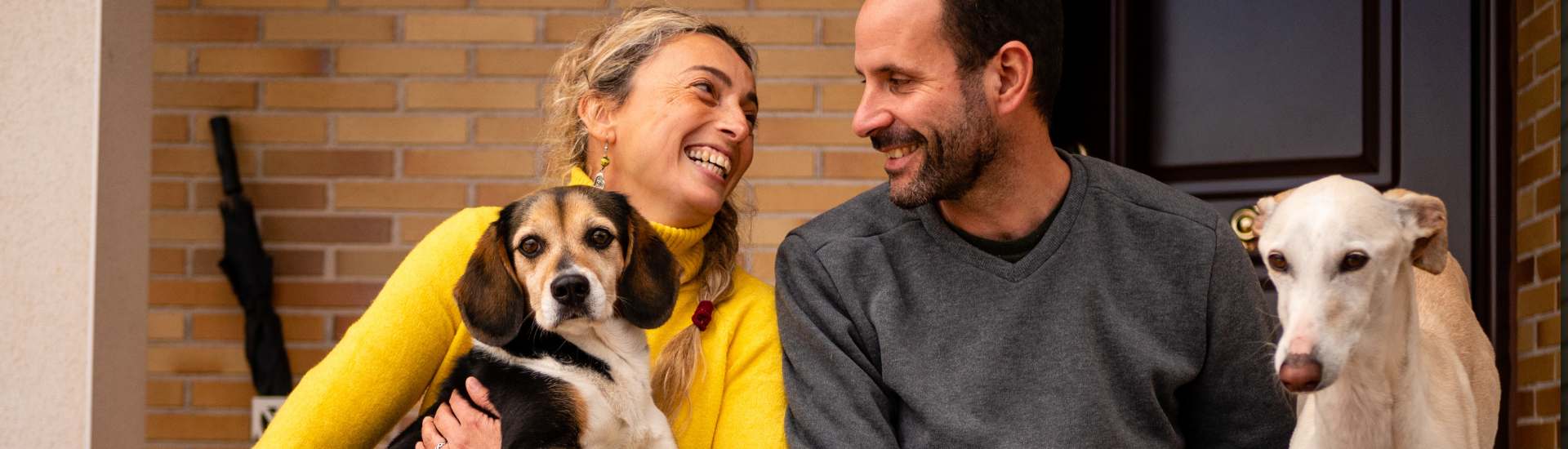 Top 7 Shelters For Dog Adoption In Durban
