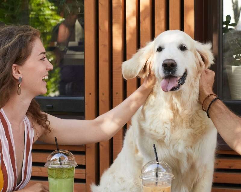 best pet friendly restaurants durban couple with dog outside