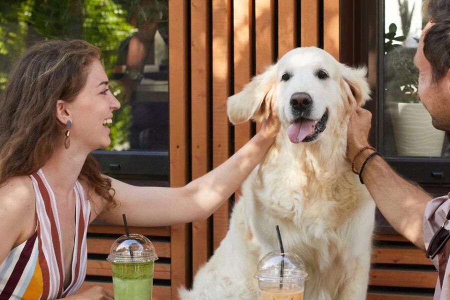 best pet friendly restaurants durban couple with dog outside