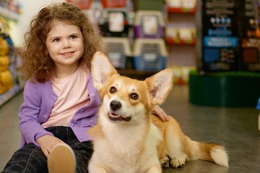 best pet stores cape town child with dog in pet store photograph