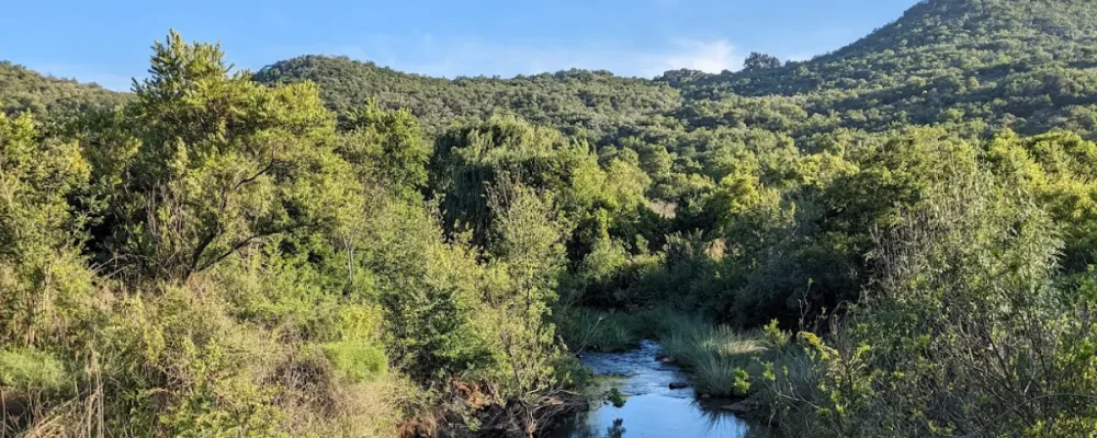 faerie glen nature reserve photograph