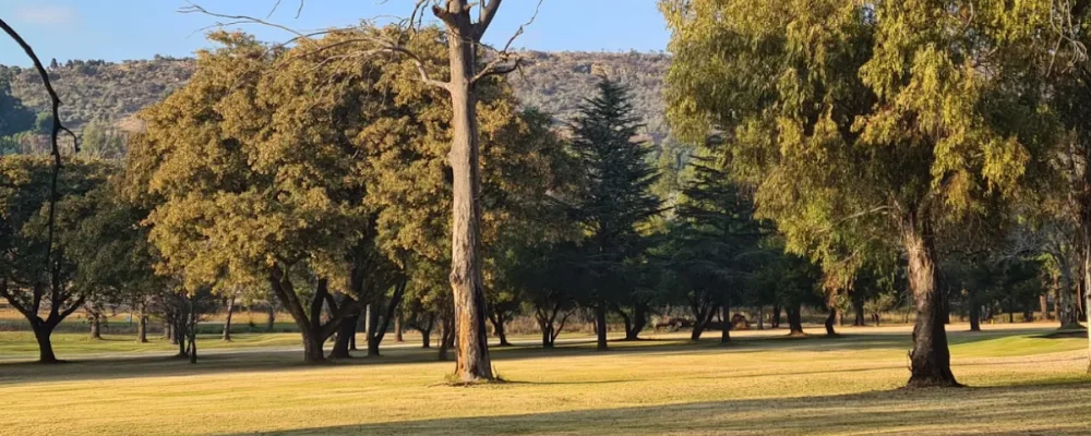 huddle park golf recreation photograph