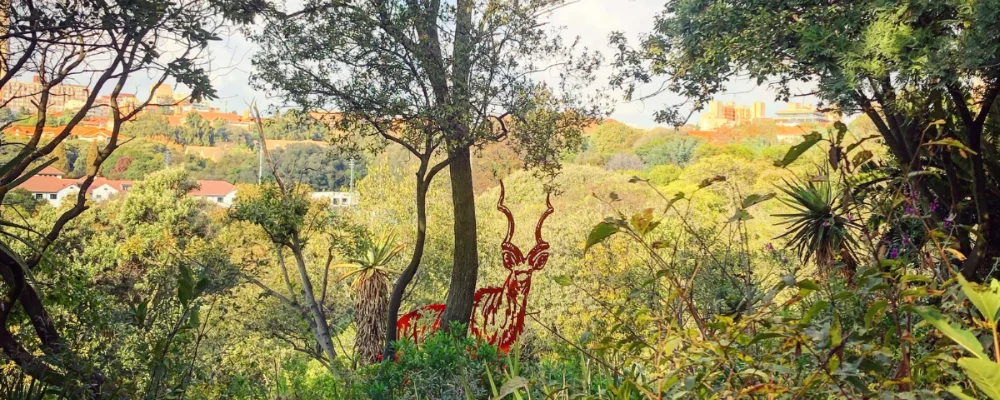 the wilds nature reserve photograph