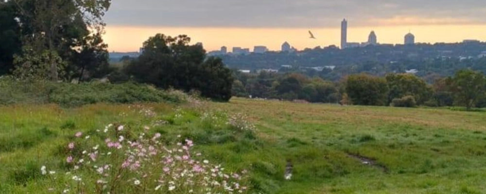 delta park johannesburg