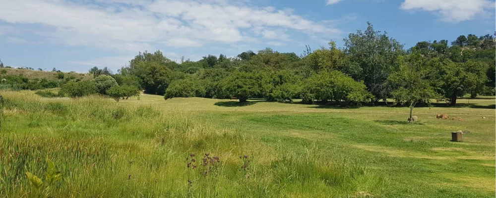 golden harvest park photograph