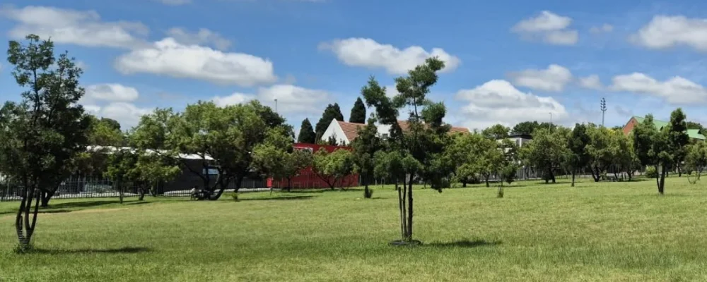 kingfisher park photograph