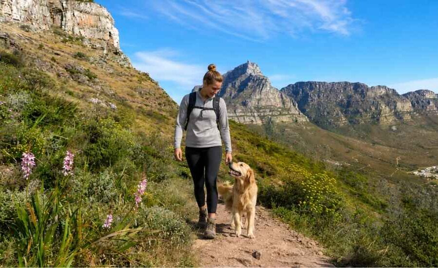 dog friendly hiking trails in cape town table mountain woman walking with dog