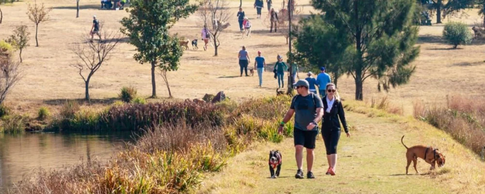 walk haven dog park