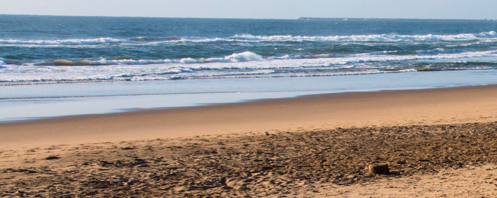 beachwood beach durban south africa
