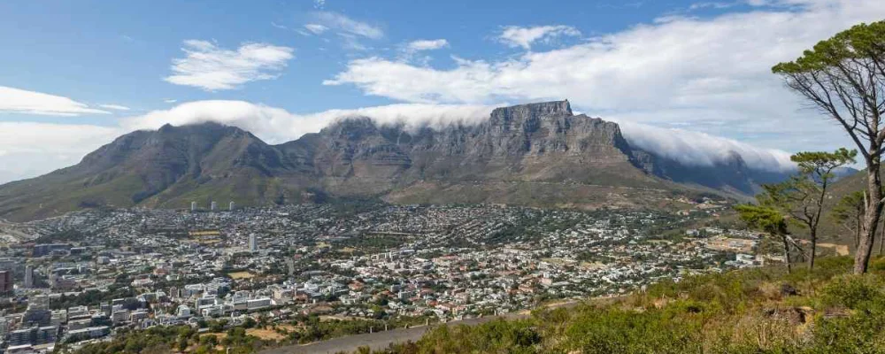 Deer Park Cape Town