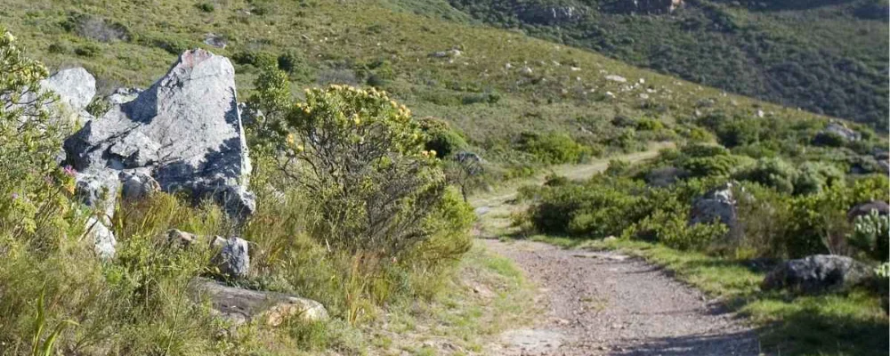 Gifkloof Trail Greyton