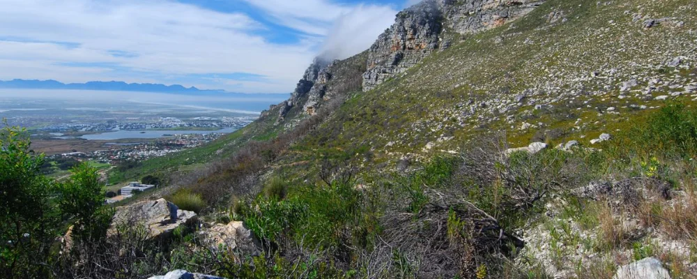 Silvermine nature reserve