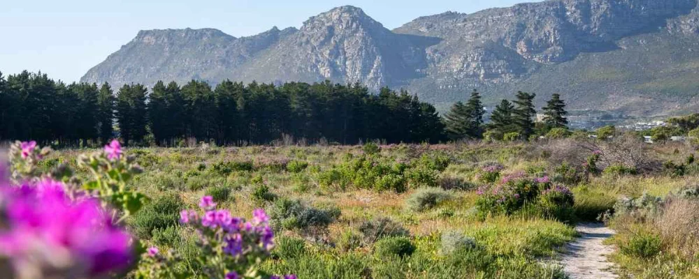 Silwerfontein Farm Hiking Trail
