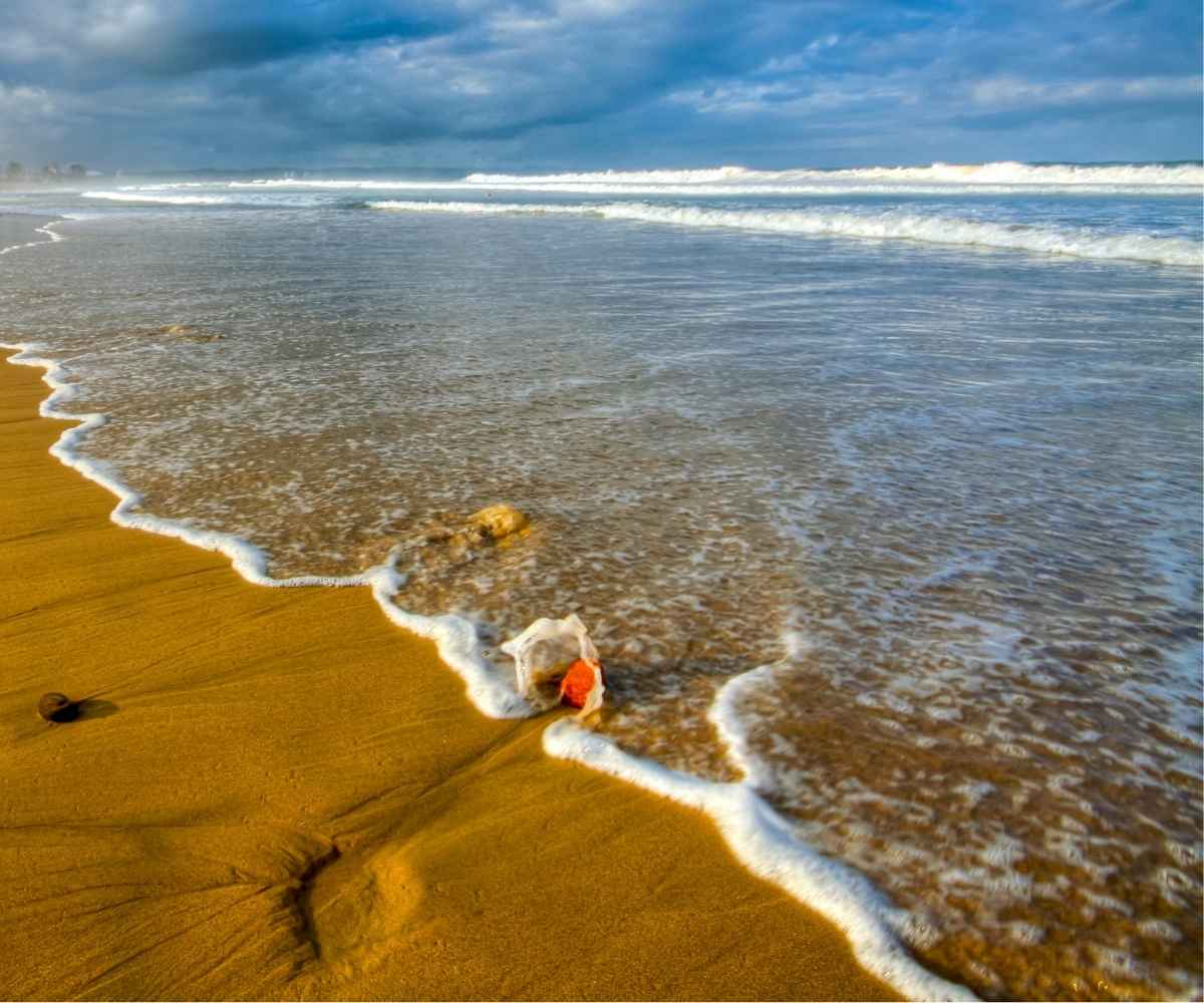 Vetch's Beach, Durban