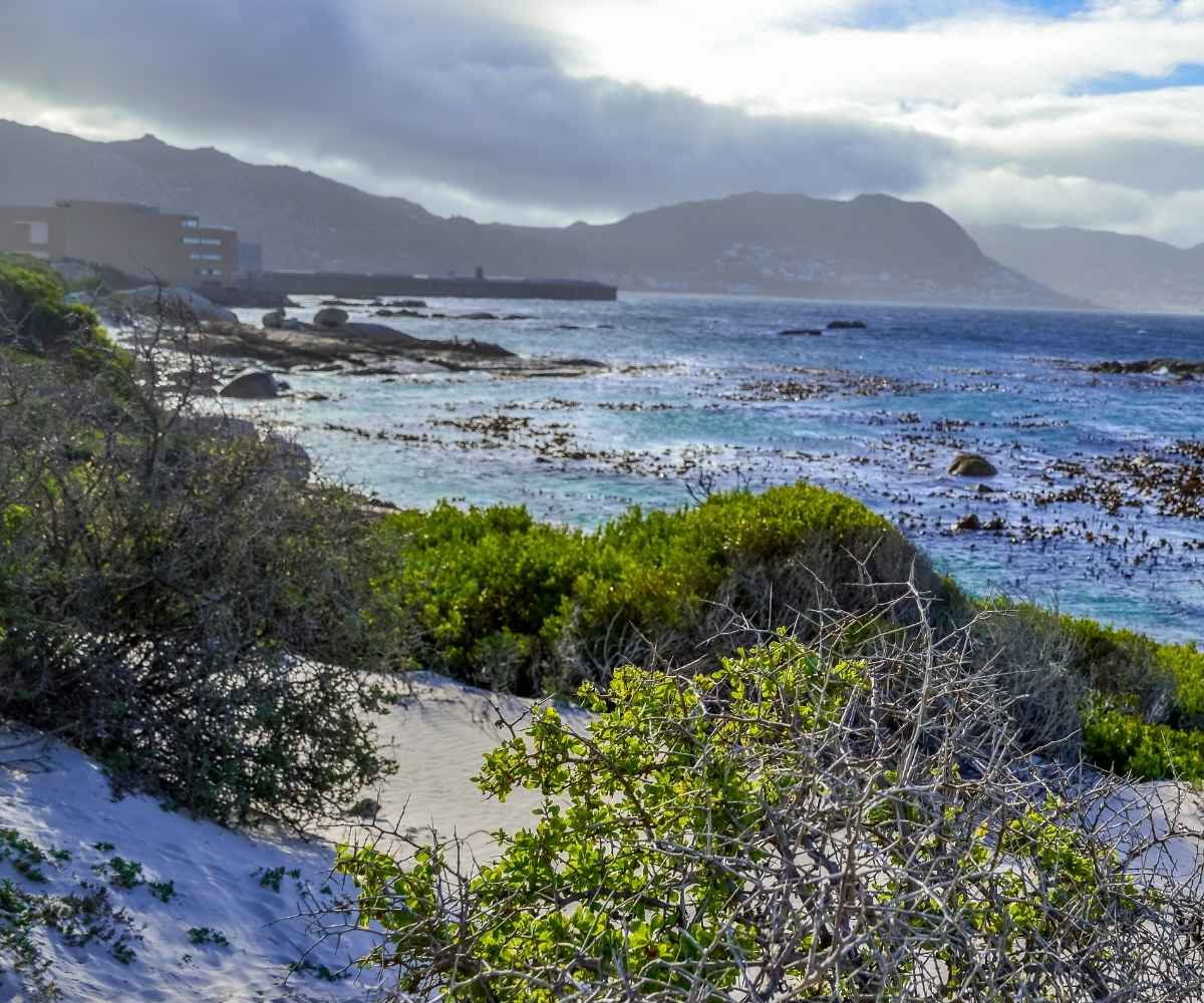 Windmill Beach, Cape Town