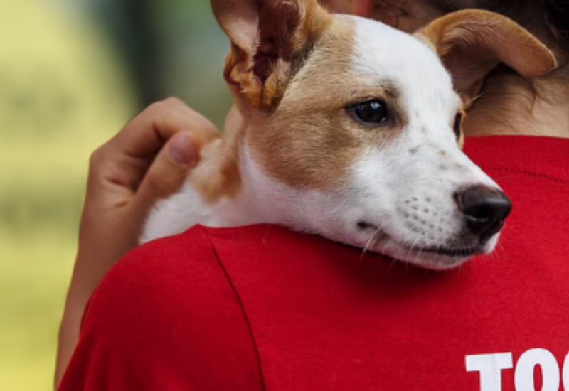 oscars arc medipet partnership south africa