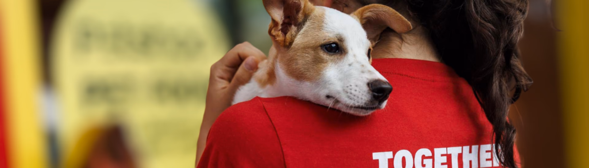 oscars arc medipet partnership south africa