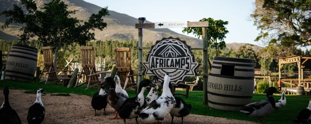 Birds flocking near Africamps Stanford Hills glamping site signboard