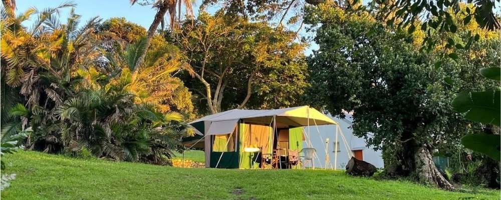 Characters Garden Park camping site