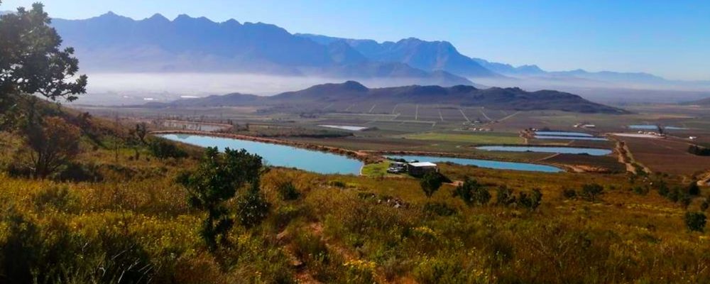 Kraalskloof dam view