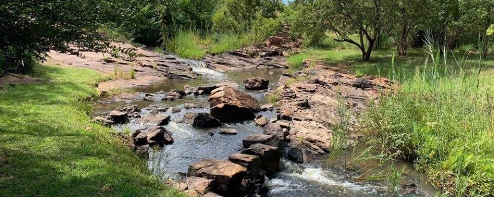 Riverside Paradise walking trail
