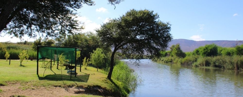 View of greenery and river at Rivierzicht River Resort grounds