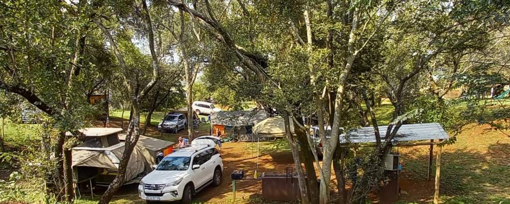 thabametsi farm