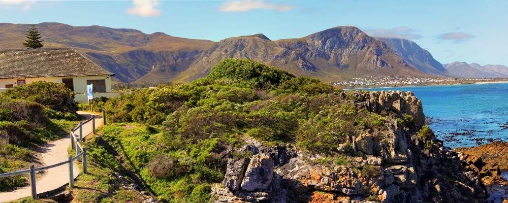 Hermanus Cliff Path