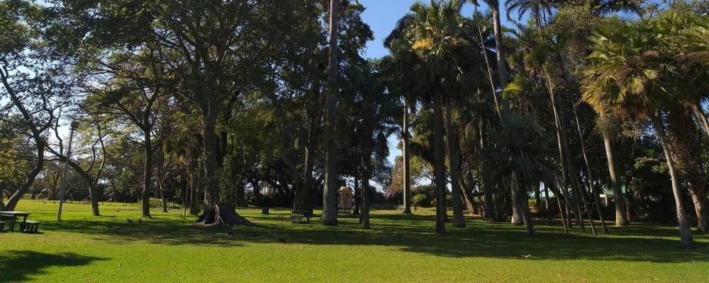 Durban Botanic Garden