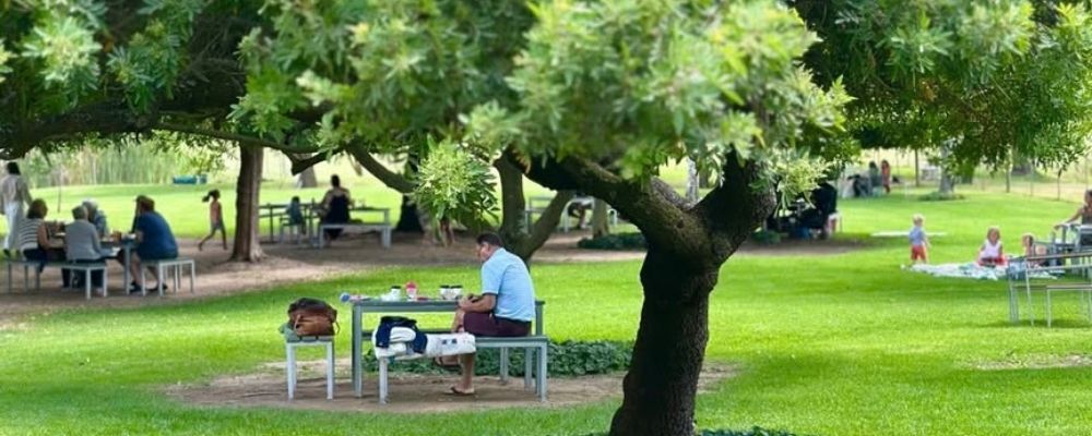 Klein Joostenberg picnic spot