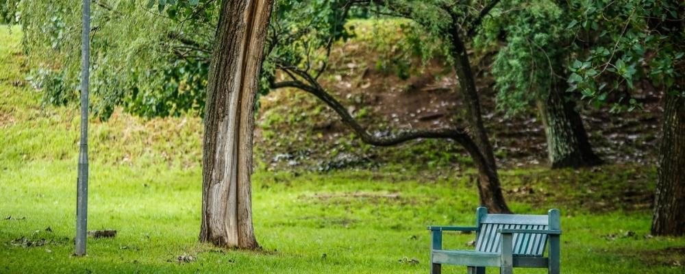 The Wilds Nature Reserve park bench