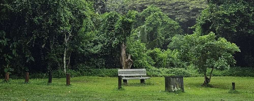 Virginia Bush Nature Reserve park bench