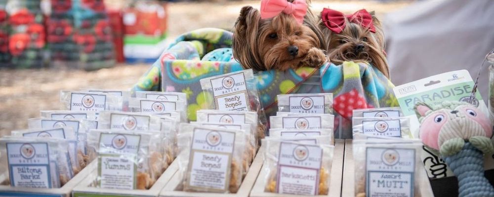 two-beautiful-dogs-at-irene-village-market